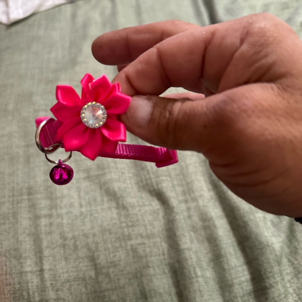 Pink Cat collar with bow and bell